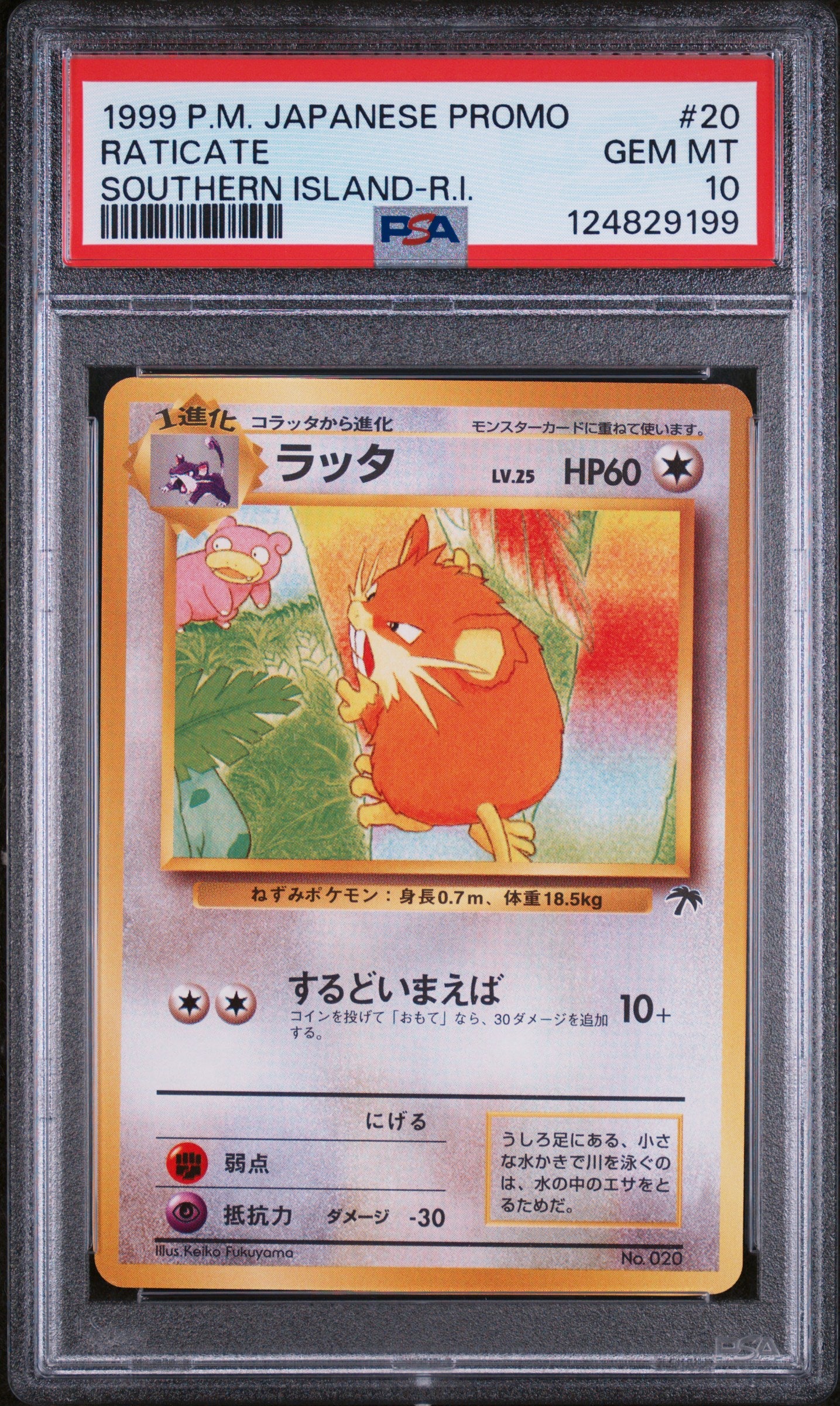 PSA 10 - Raticate Southern Islands - #20