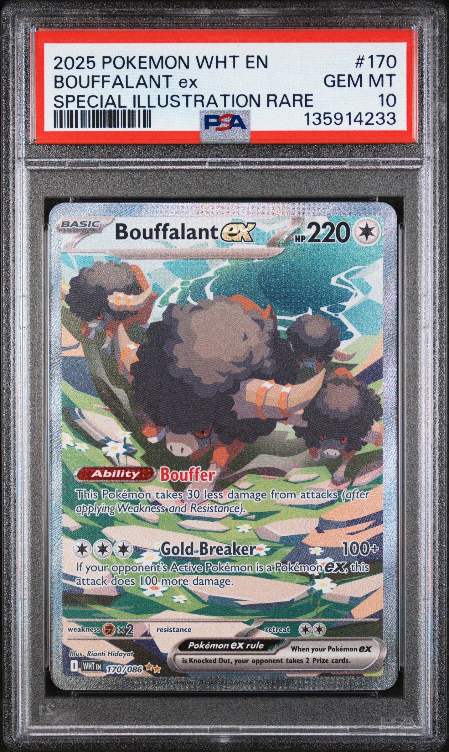 PSA 10 - Bouffalant ex #170