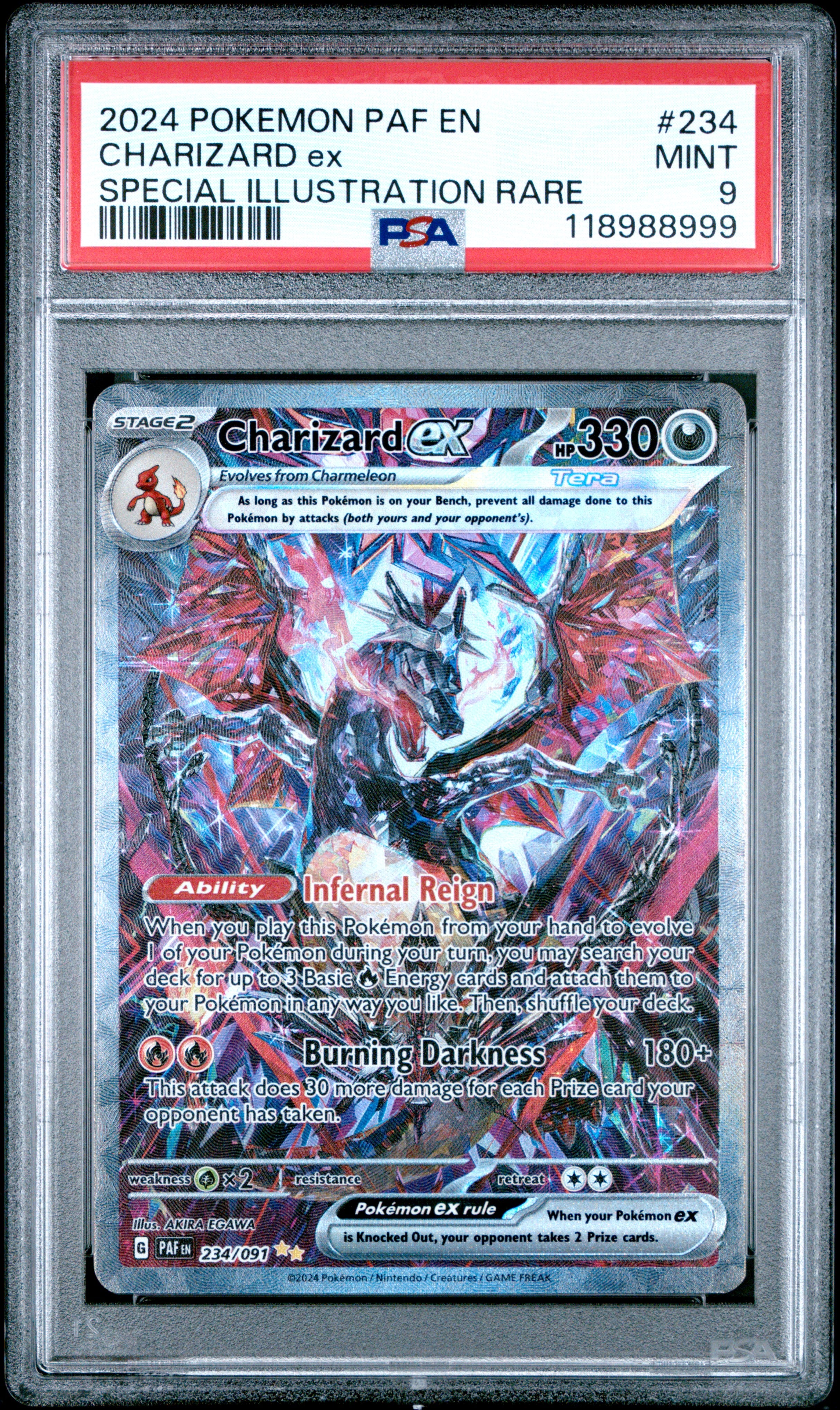 Graded Cards1 – Safari Zone Collectibles