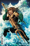 Aquaman And The Lost Kingdom Special #1 (One Shot) Cover B Jim Cheung Card Stock Variant